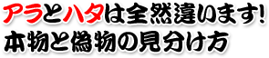 アラのハタは全然違います!本物と偽物の見分け方